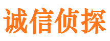 原阳外遇出轨调查取证